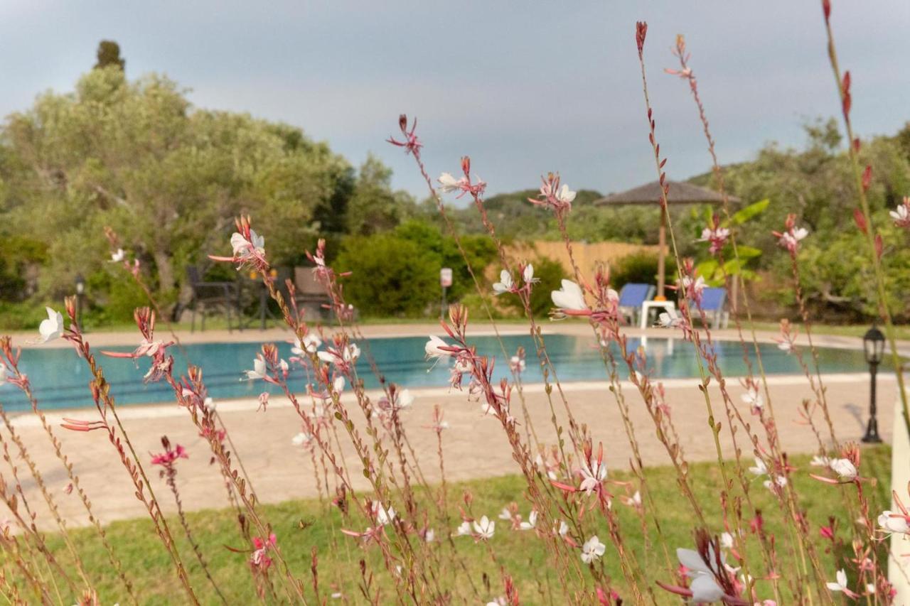 Villa Adonis Χαλικούνας Εξωτερικό φωτογραφία
