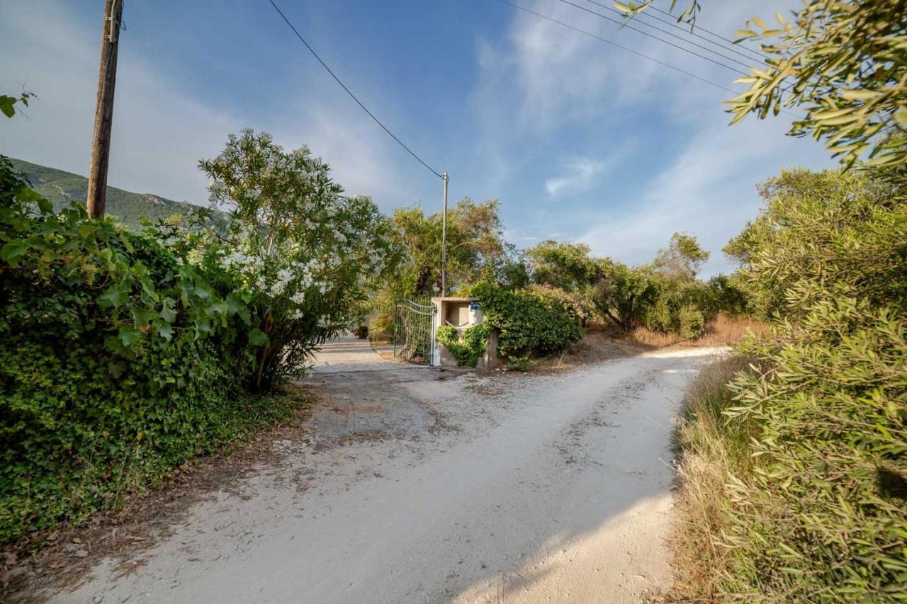 Villa Adonis Χαλικούνας Εξωτερικό φωτογραφία